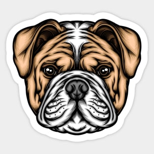 American bulldog illustration Sticker